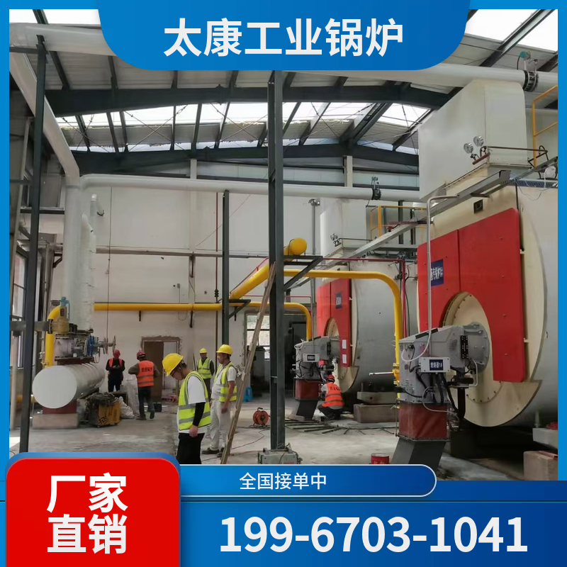 衡阳燃气导热油锅炉
